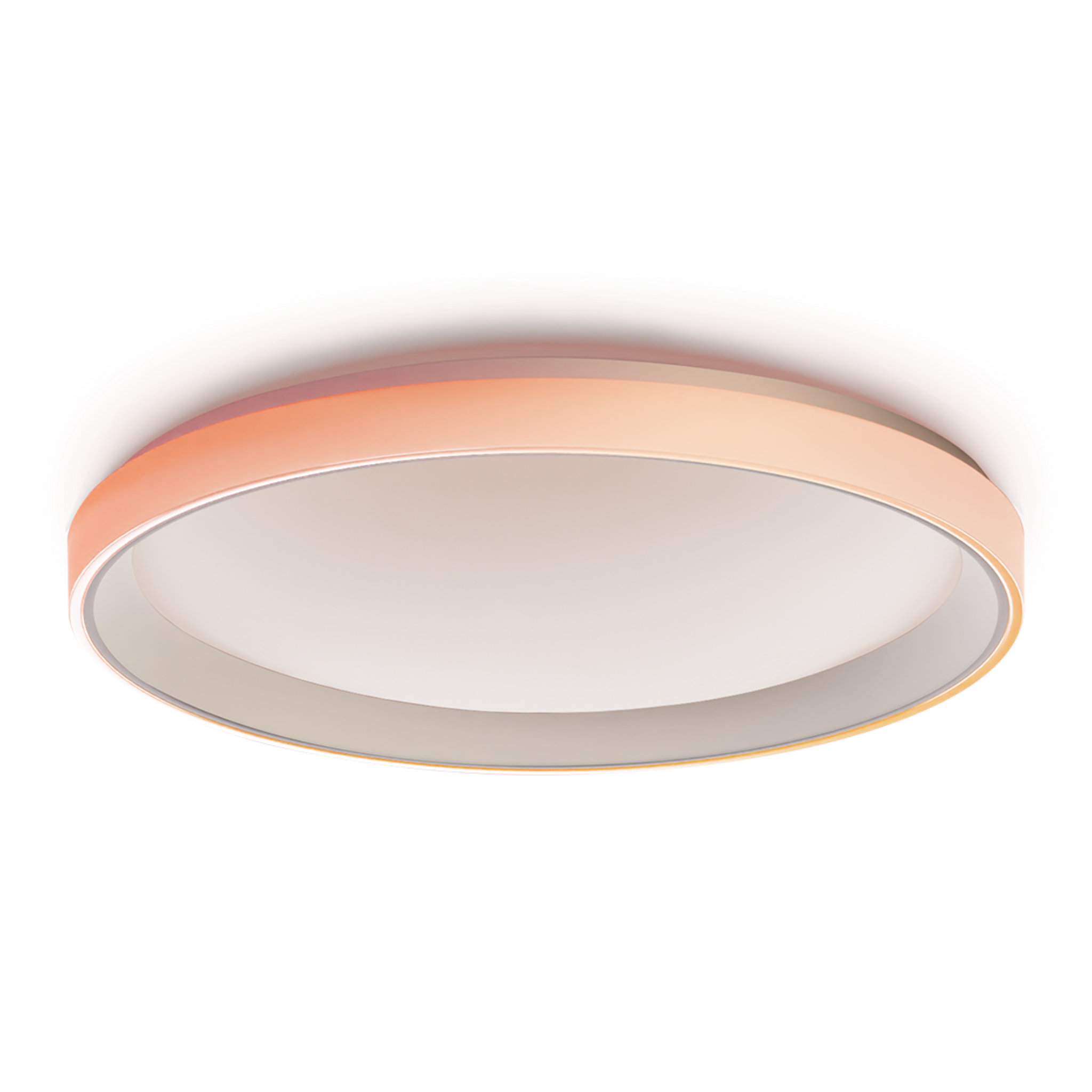 Ceiling Light T1M