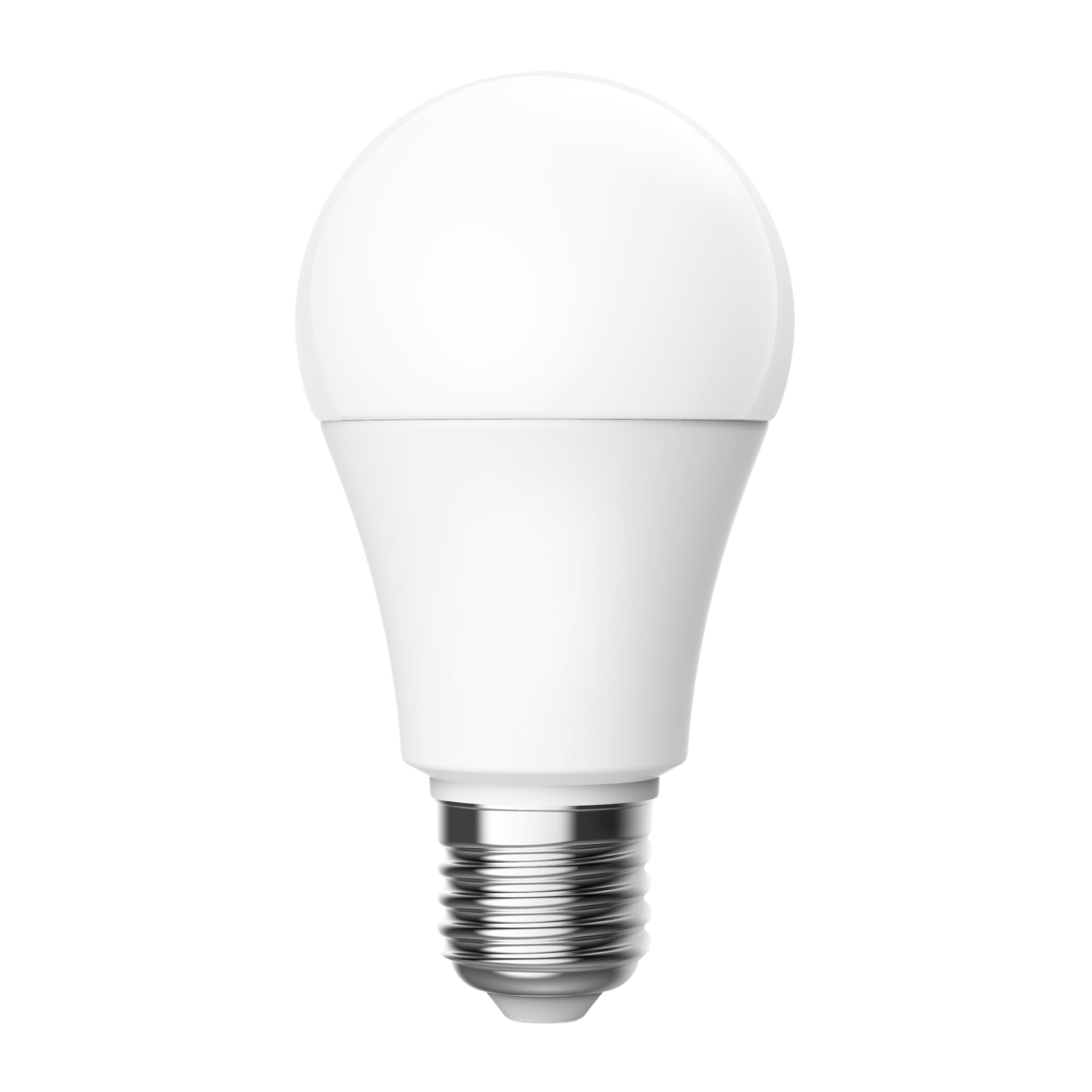 LED Bulb T1