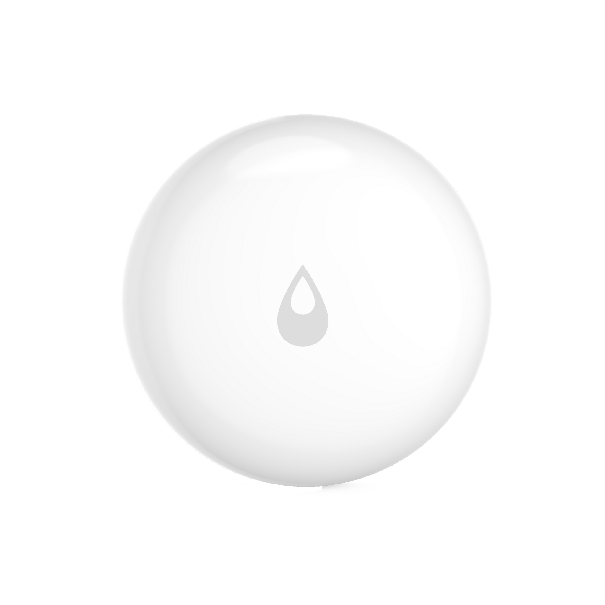 Water Leak Sensor T1