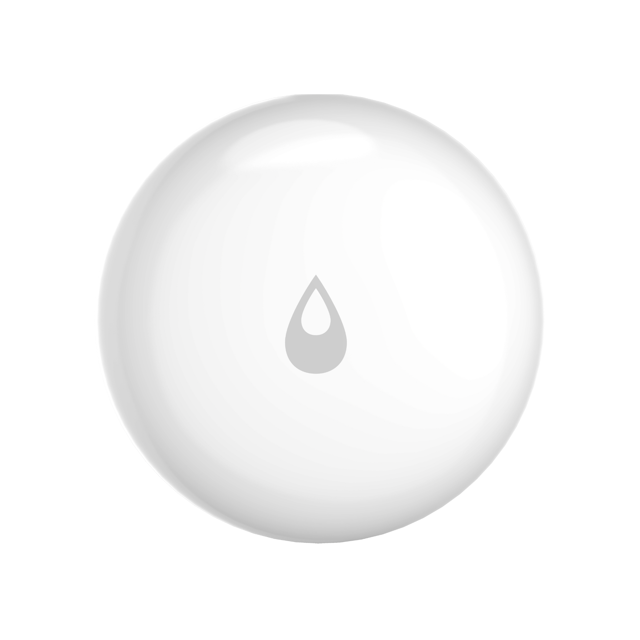 Water Leak Sensor T1